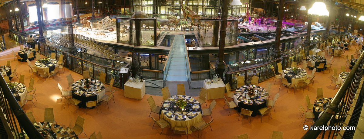 Reception20x7